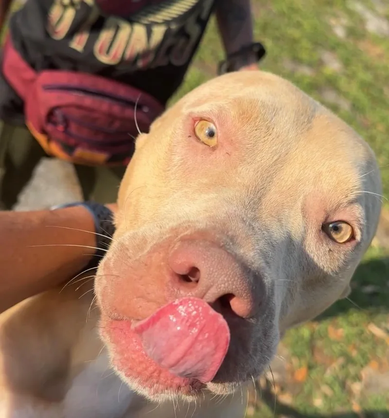 Catarinabig  Sweet Hugger! thumbnail 5