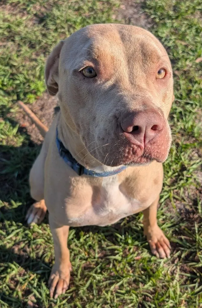 Catarinabig  Sweet Hugger! thumbnail 6