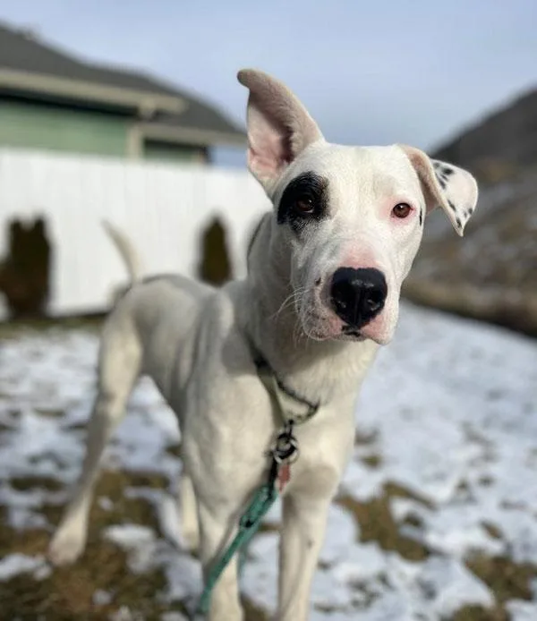 Spot Courtney Post. Out thumbnail 2