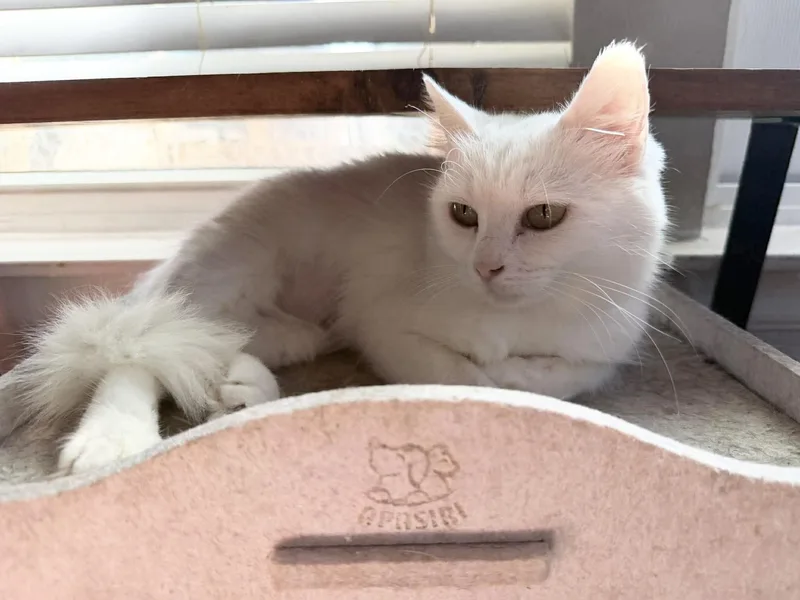Beautiful Blanca thumbnail 2