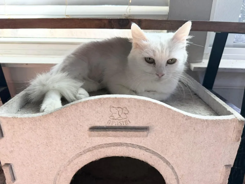 Beautiful Blanca thumbnail 3