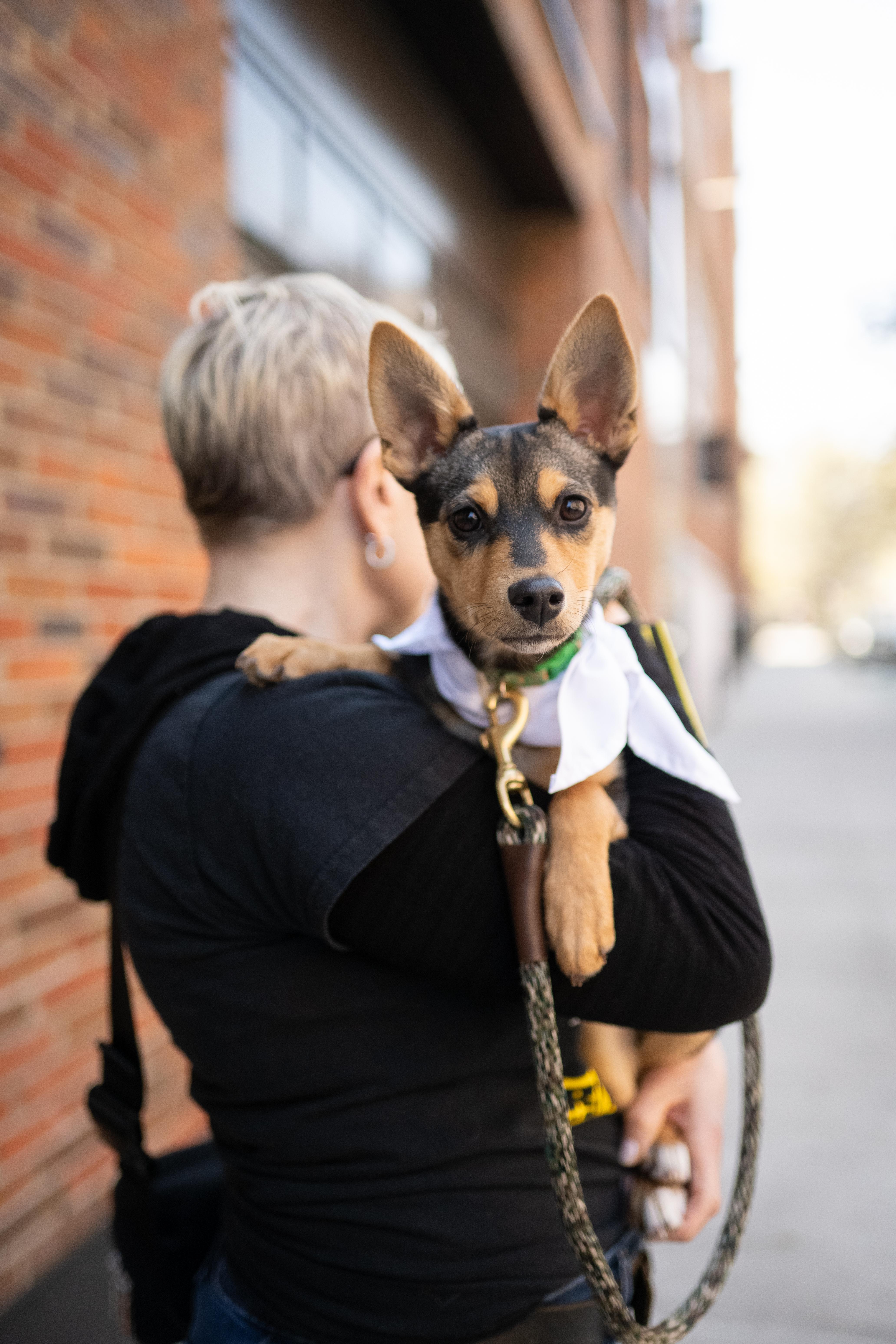 Baptista thumbnail 2