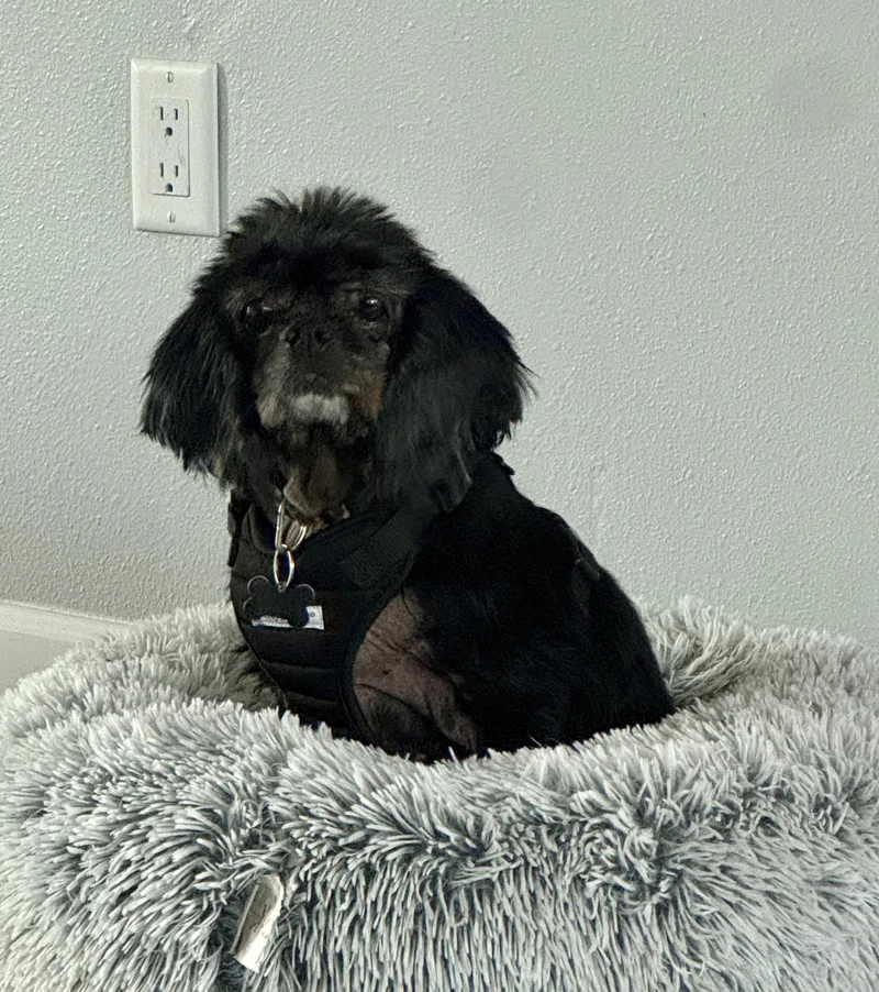 Miss Bailey thumbnail 3