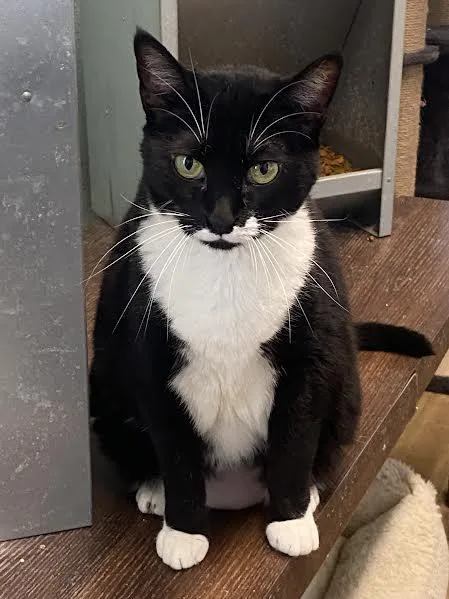 Charlotte thumbnail 2