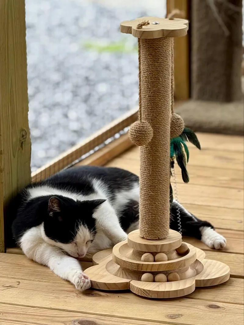 Minnie Nj thumbnail 3