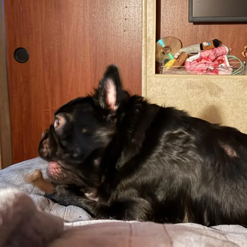 Walter thumbnail 2