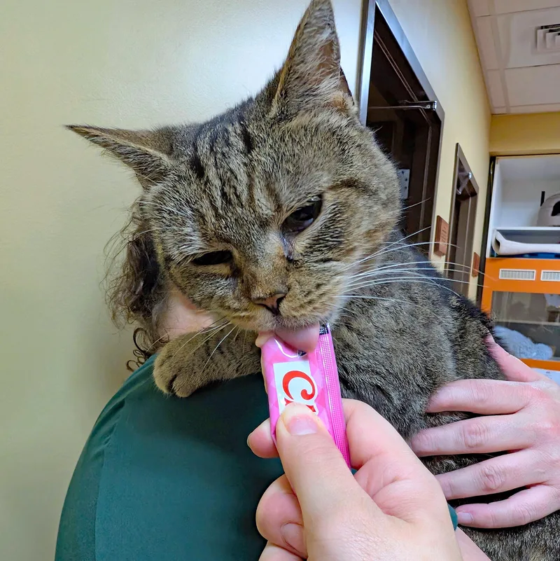 Edna thumbnail 3