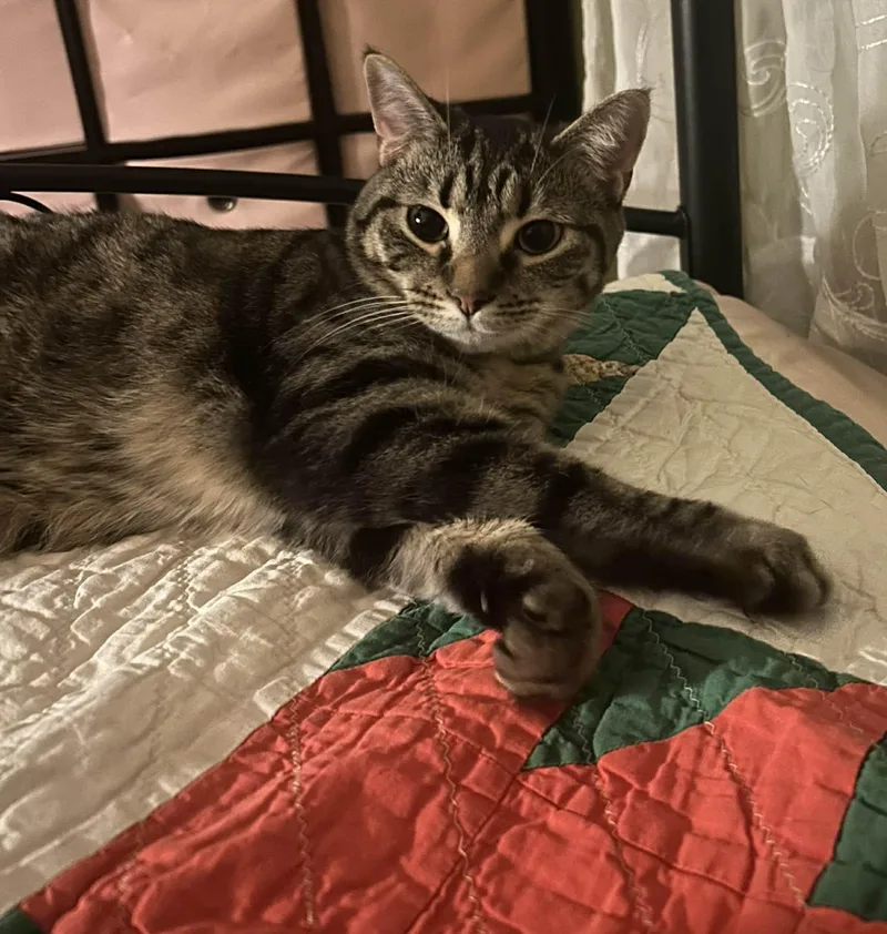 Turbo Granny thumbnail 3