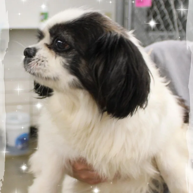 Jerry thumbnail 2