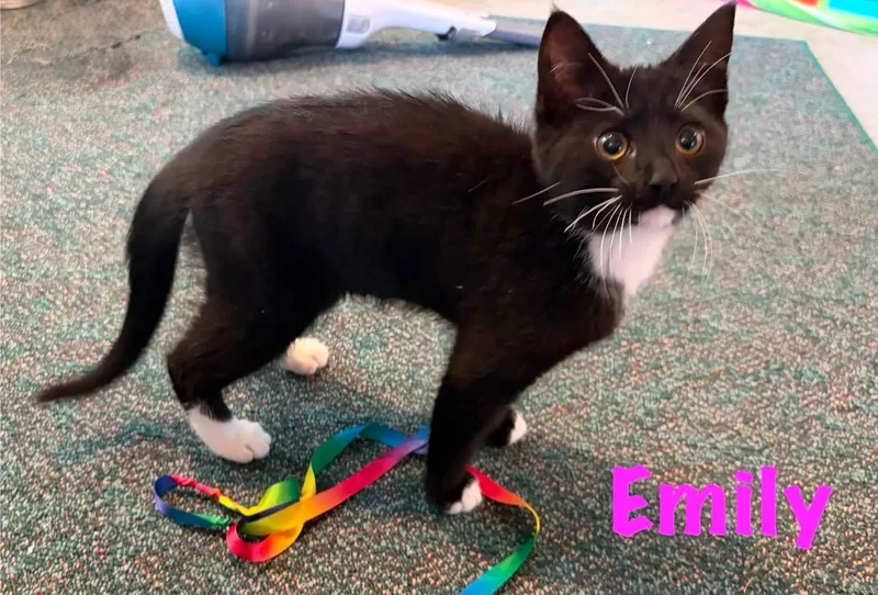 Emily & Olivia thumbnail 2