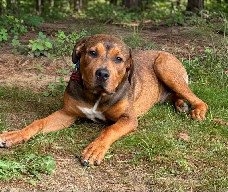 Sammy