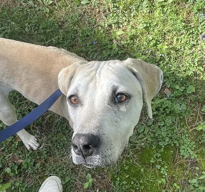 Creighton thumbnail 2