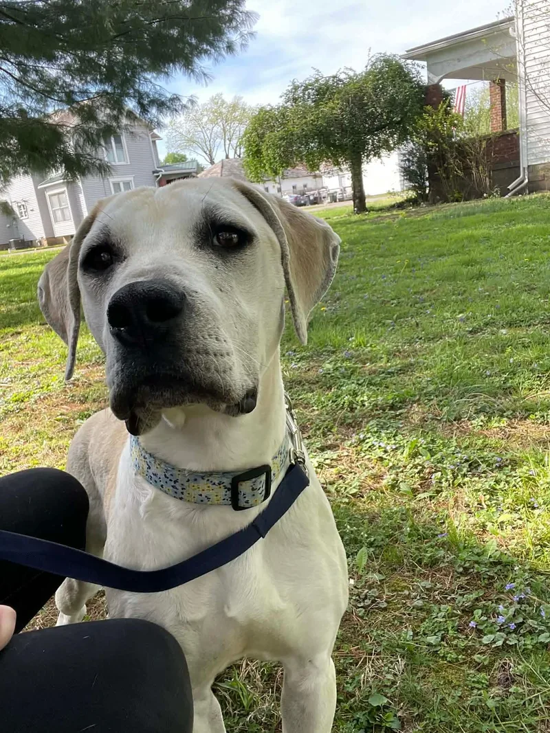 Creighton thumbnail 3