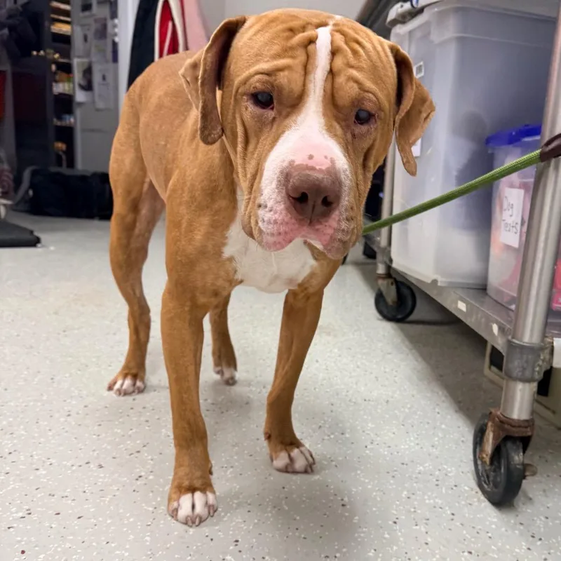 Wrinkles thumbnail 2