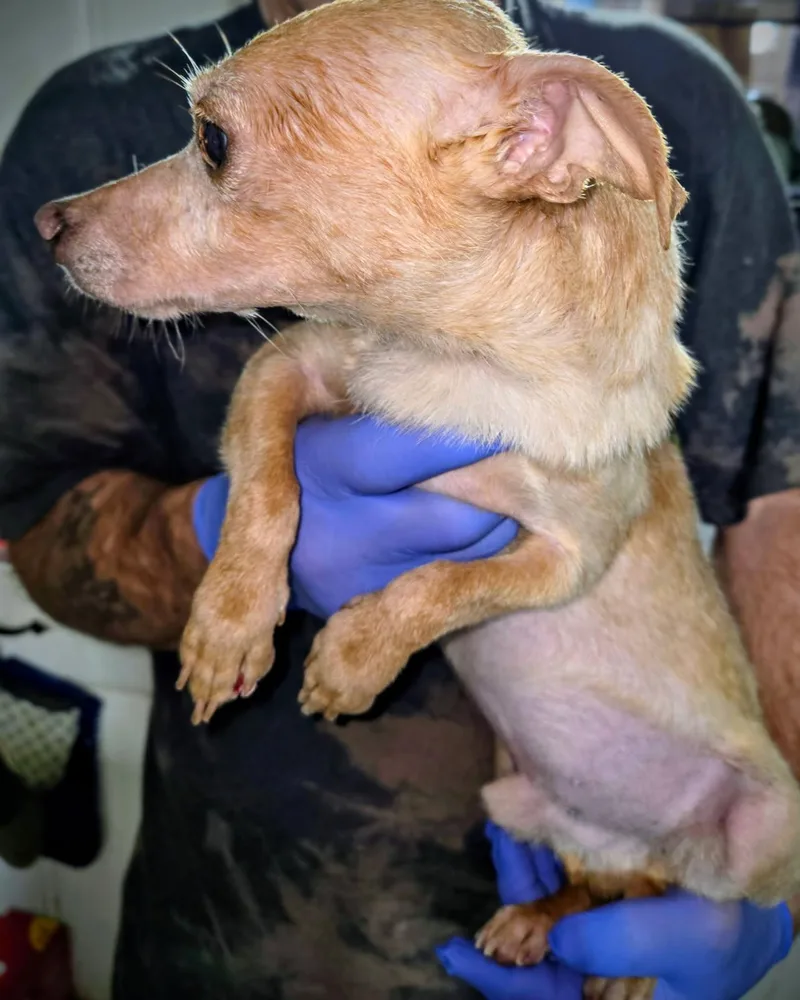 John Boy thumbnail 2