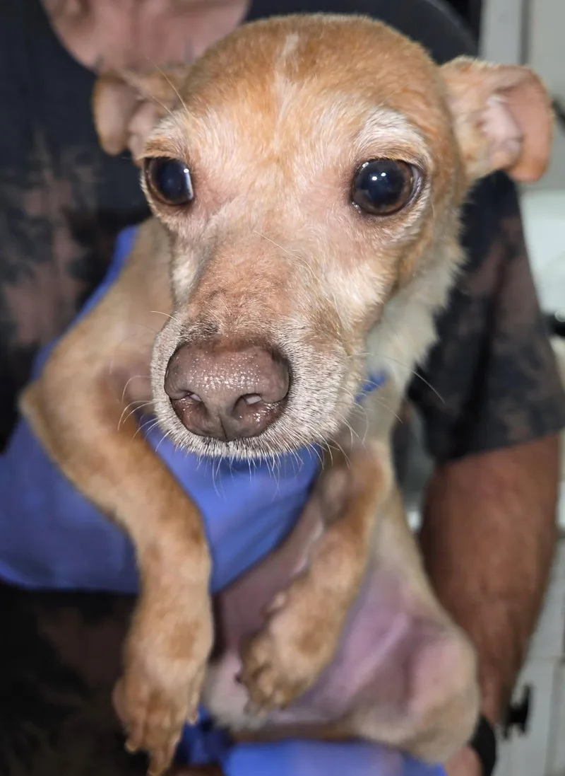 John Boy thumbnail 3