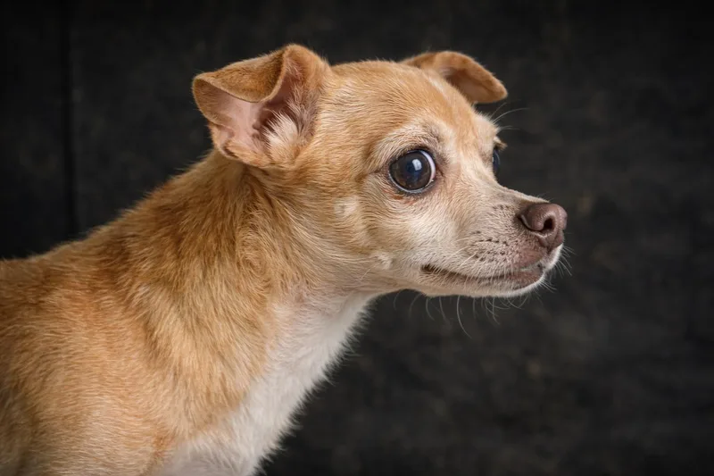 John Boy thumbnail 4