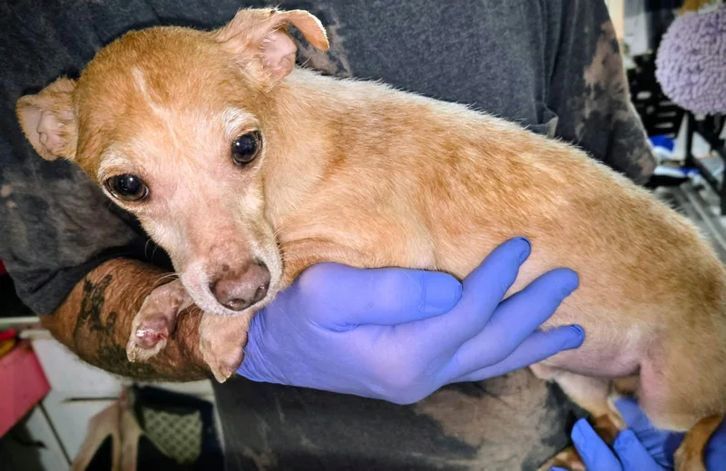 John Boy thumbnail 5