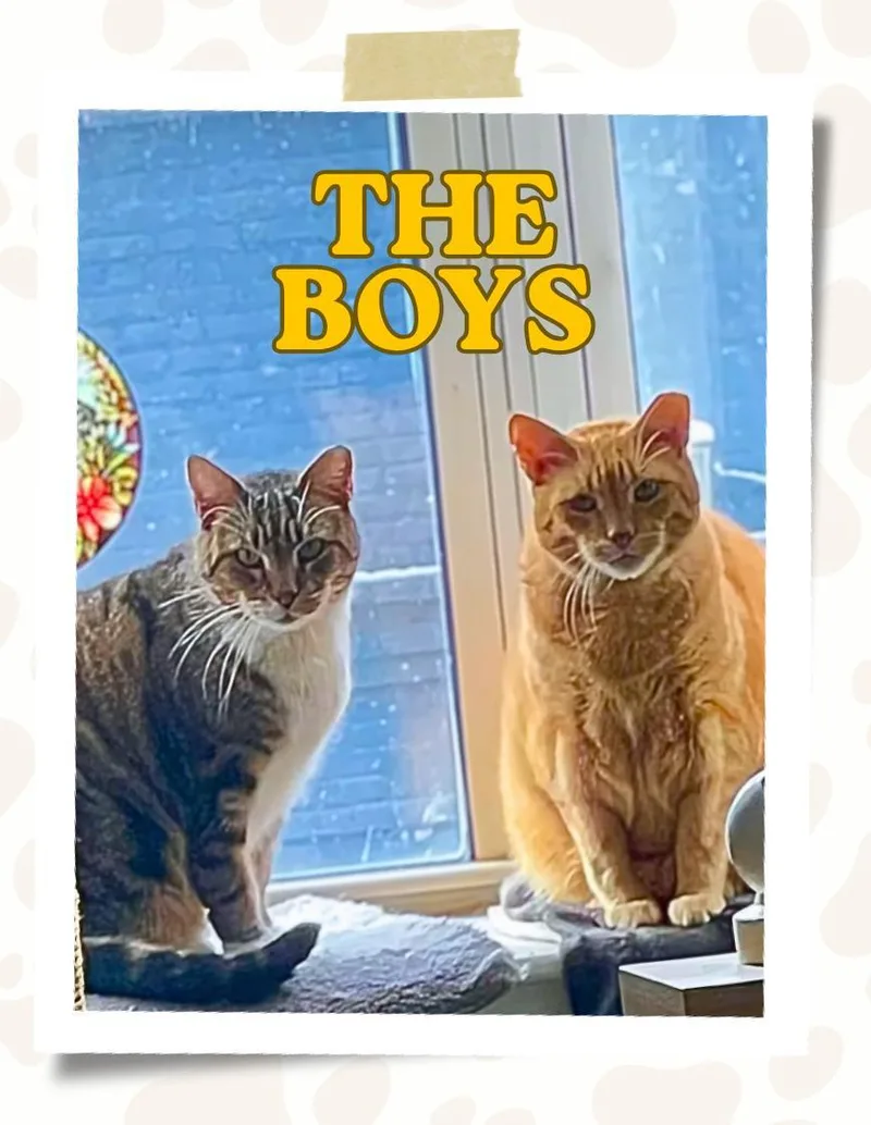 Ron and Guillermo thumbnail 4