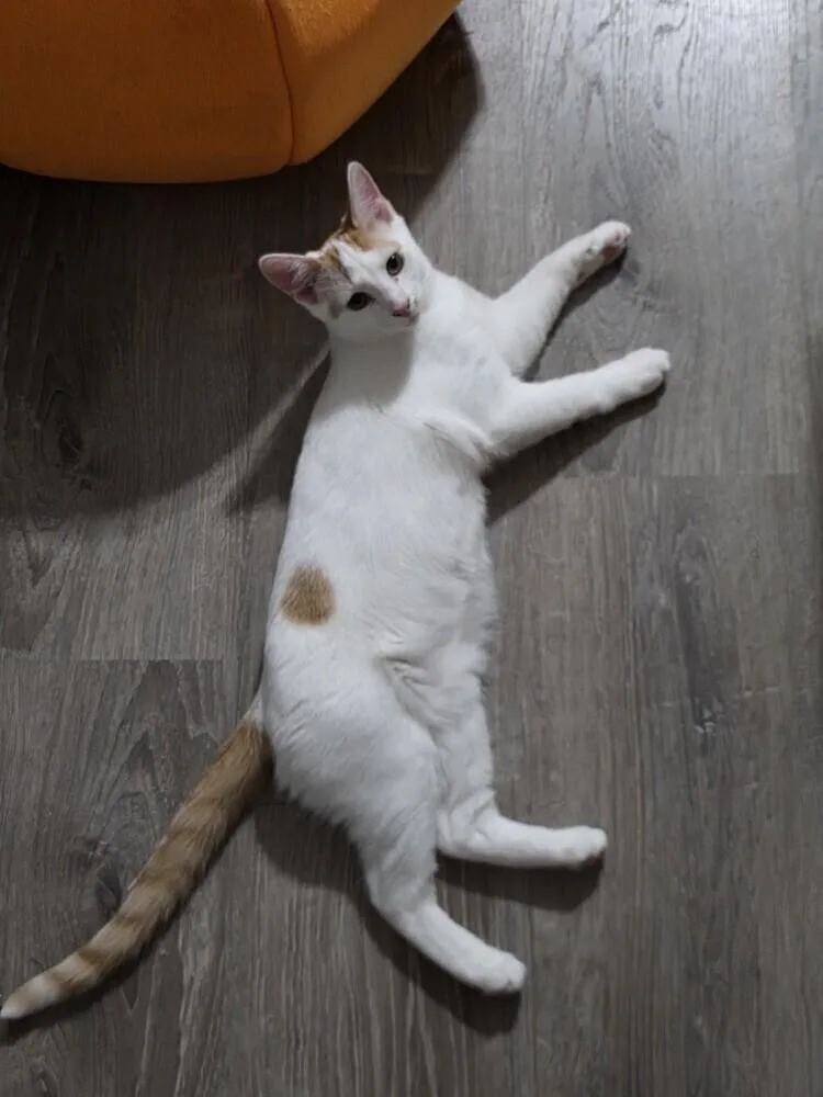 Big Money R thumbnail 2