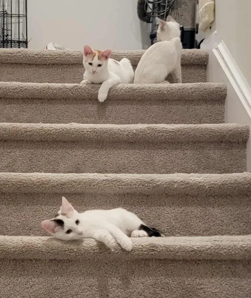 Big Money R thumbnail 3