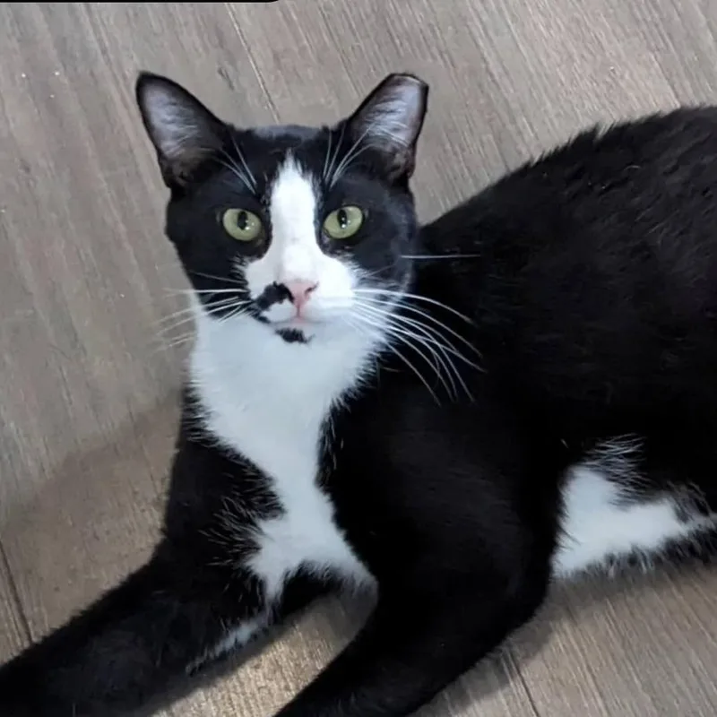 Tequila Willies thumbnail 2