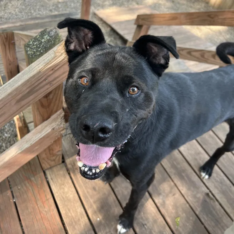 Riff Raff thumbnail 3