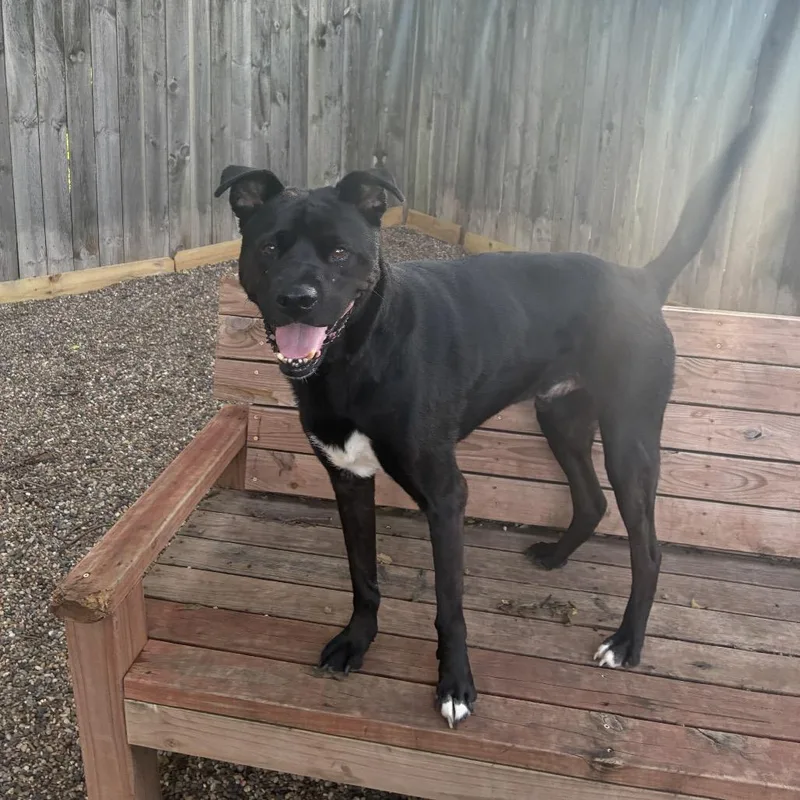 Riff Raff thumbnail 4