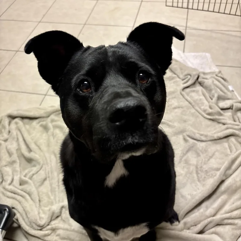 Riff Raff thumbnail 6