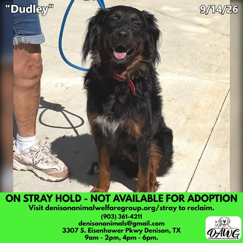 Dudley