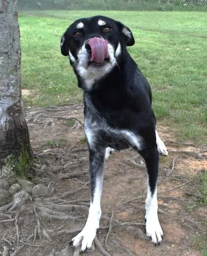 Milky Way thumbnail 2