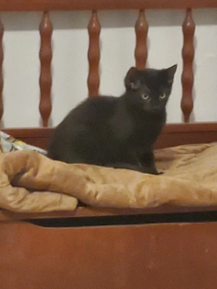 Jennifer thumbnail 2
