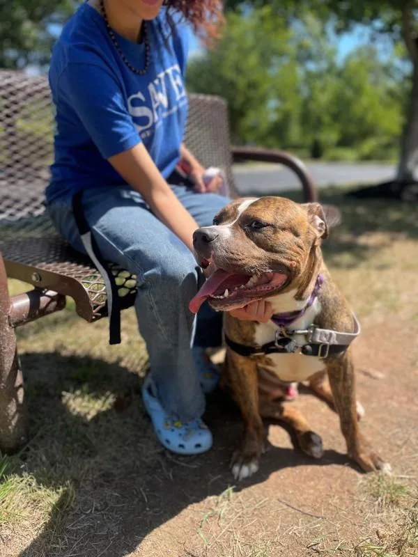 Jeremiah thumbnail 3