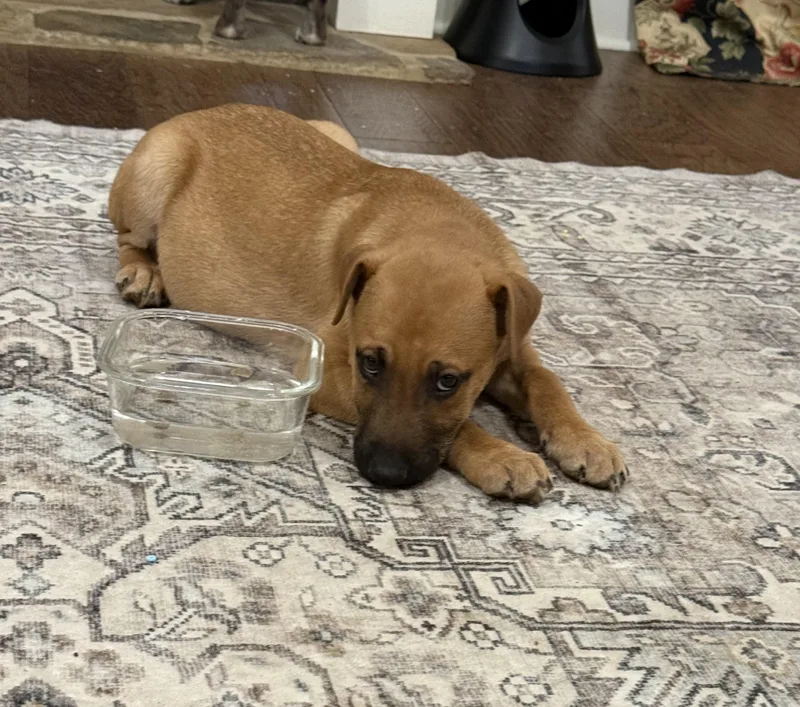 Bullseye thumbnail 2