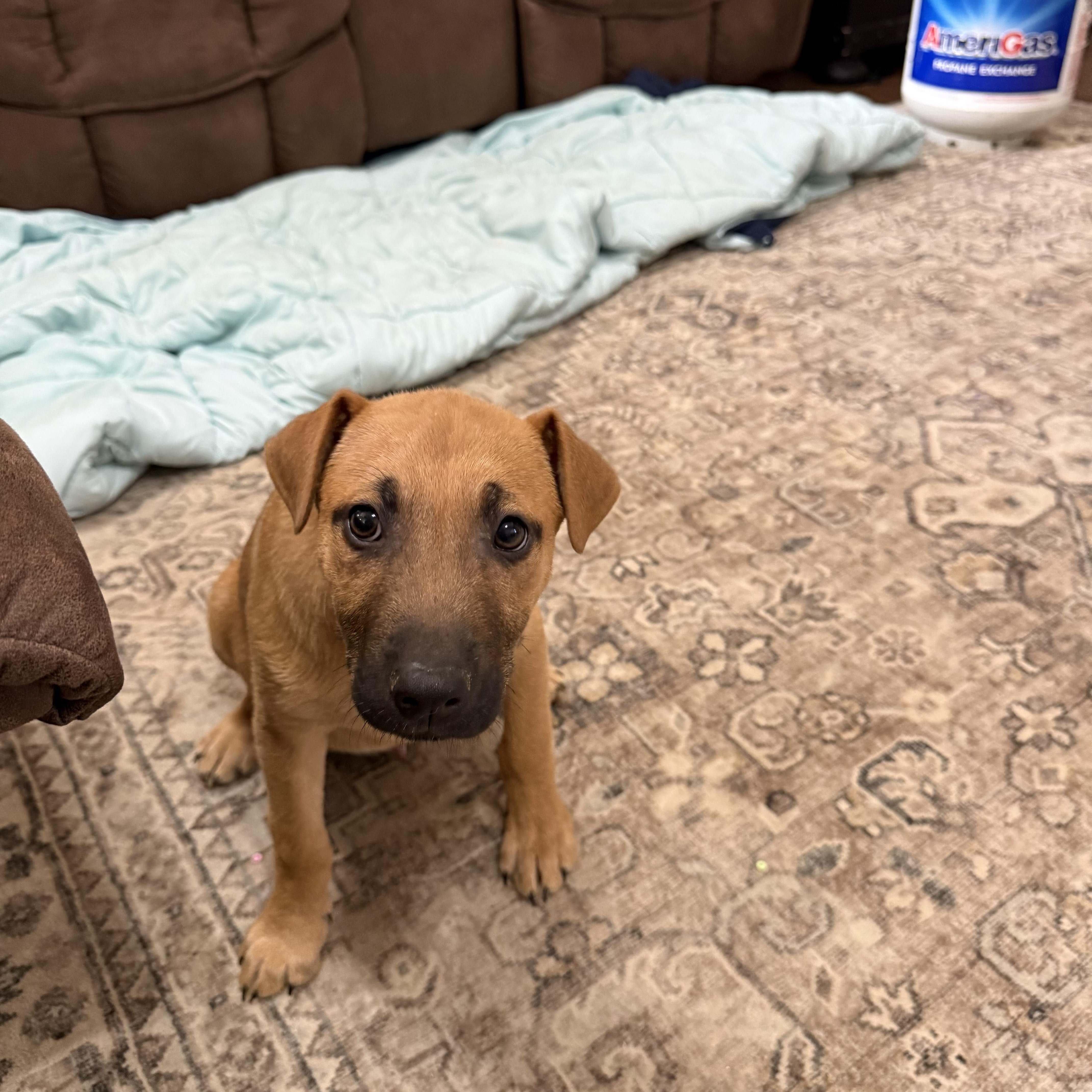 Bullseye thumbnail 3