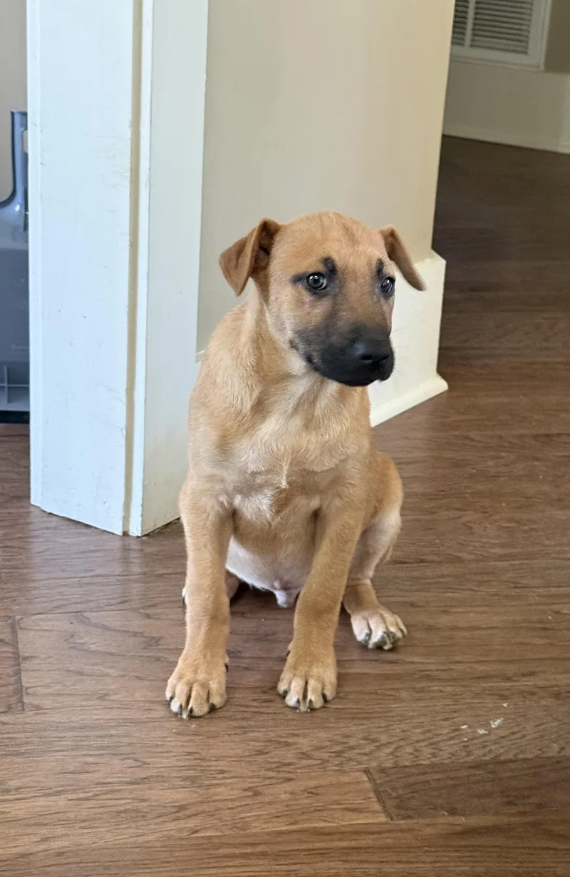 Bullseye thumbnail 4