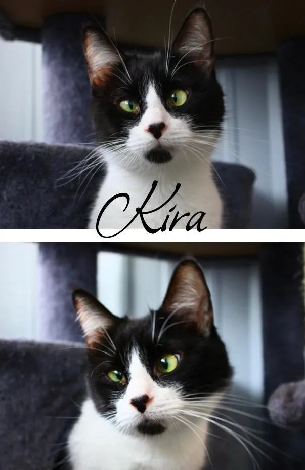 Kira thumbnail 2