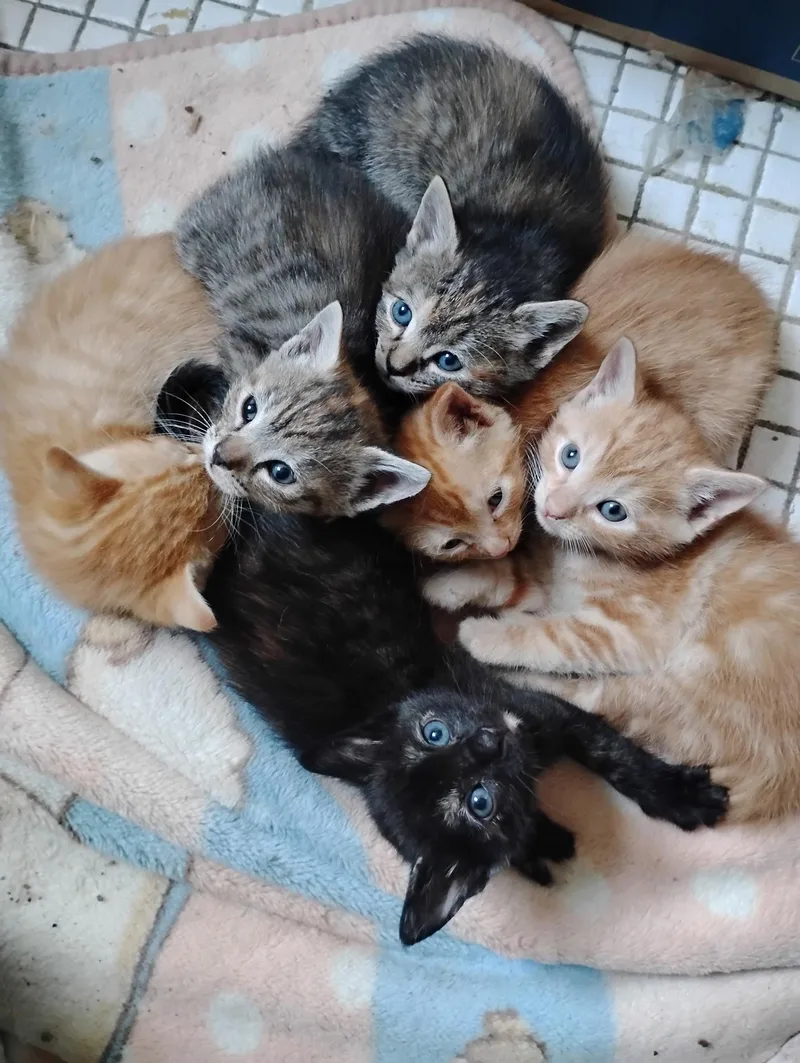 Aprils Bunch Of Love