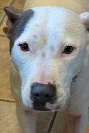 Freya Beautiful Girl