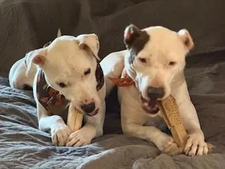 Freya  Beautiful Girl thumbnail 2