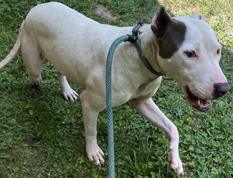 Freya  Beautiful Girl thumbnail 3