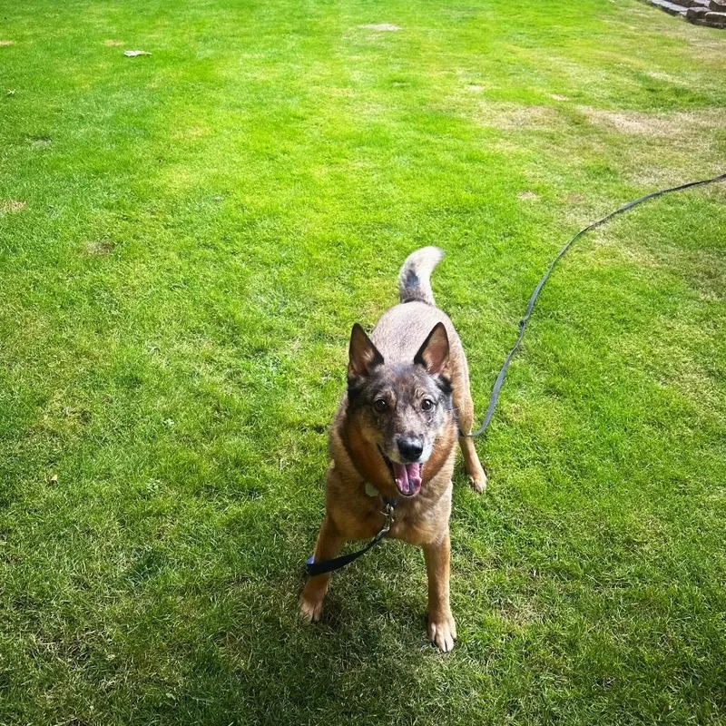 Kaia Bear thumbnail 3