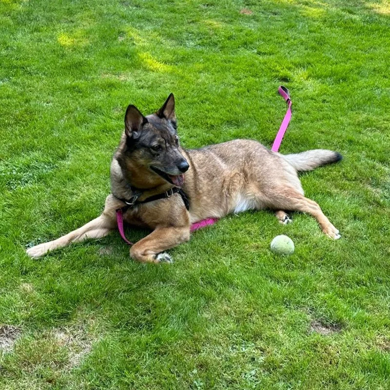 Kaia Bear thumbnail 4