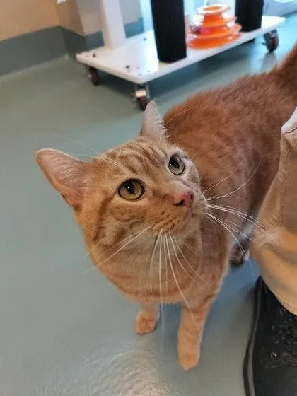 Benny Bernas thumbnail 2