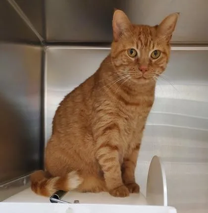 Benny Bernas thumbnail 3