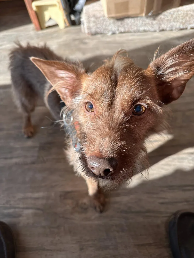 Willoughby thumbnail 2