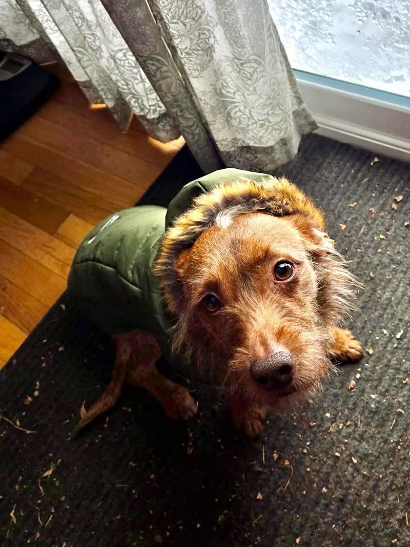 Willoughby thumbnail 3