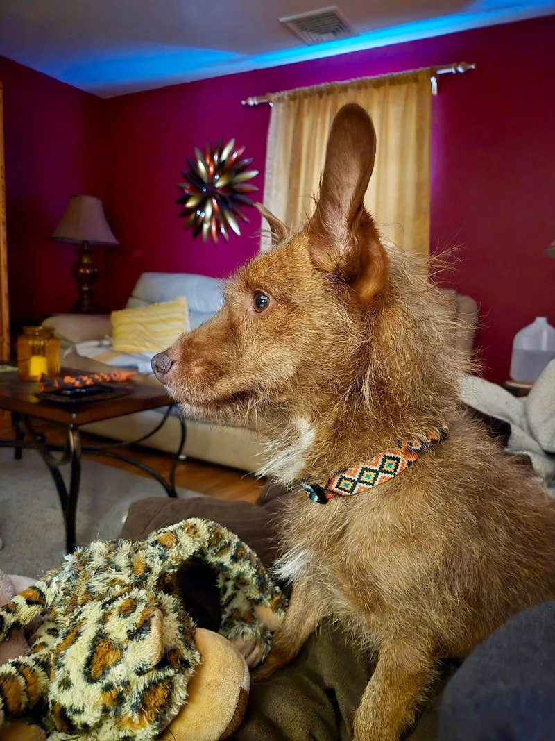 Willoughby thumbnail 5