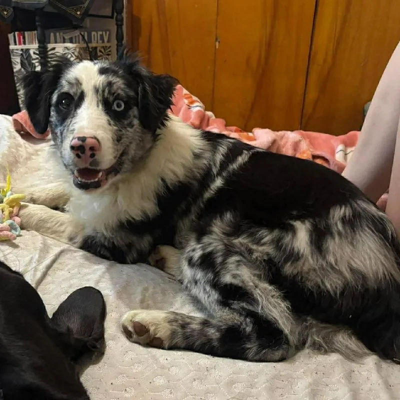 Rainbow Brite thumbnail 2