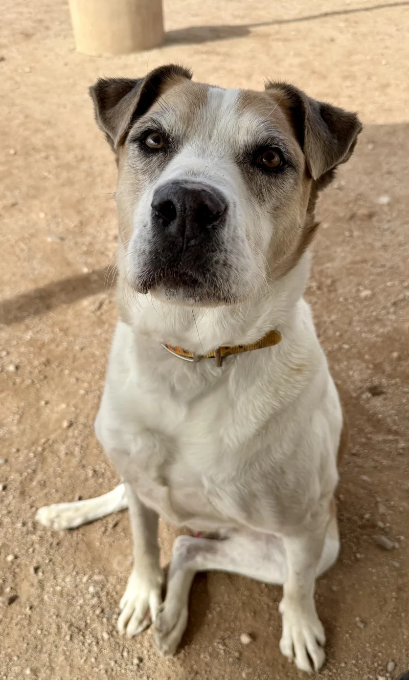 Theodore S. Jenkins thumbnail 2